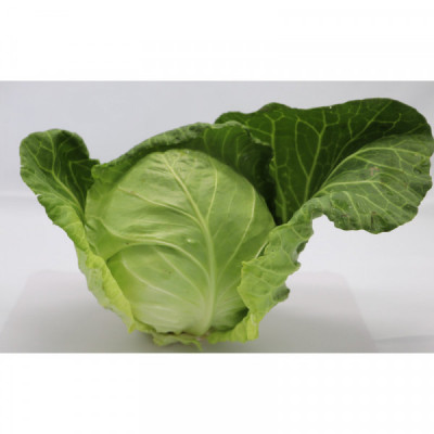 Zelí hlávkové bílé 1 kg Zelí hlávkové bílé 1 kg