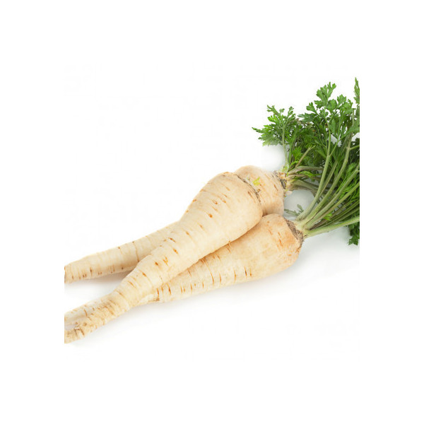 Petržel (balení 1kg)