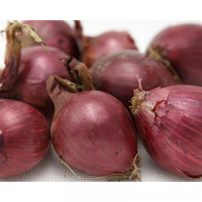 Cibule červená (balení 1kg) Cibule červená (balení 1kg)