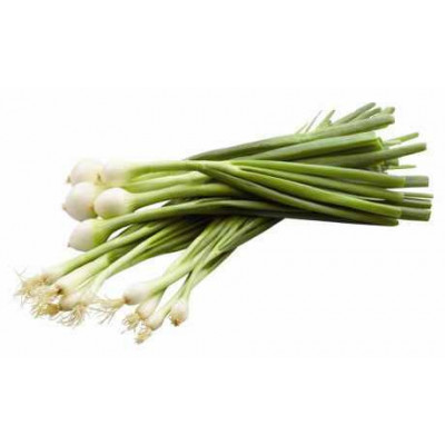Cibule lahůdková (svazek)