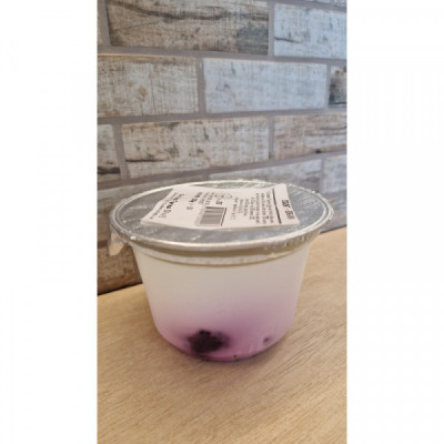 Jogurt borůvka, 200 g Diviš Jogurt borůvka, 200 g Diviš