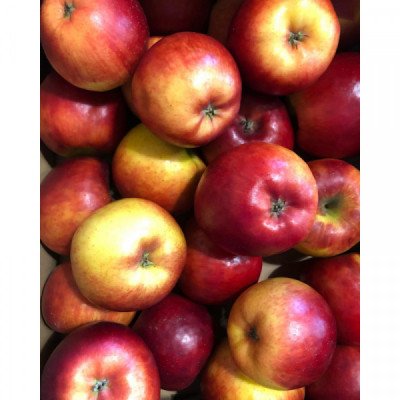 Jablka (balení 1kg) Jablka (balení 1kg)