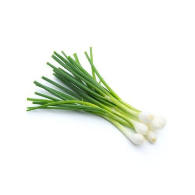 Cibule jarní (svazek)